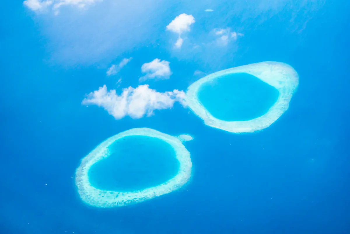 Reef & Sandbank — Tiffany Blanc 14