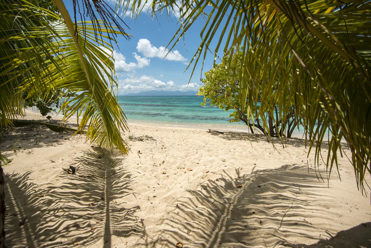 Island & Snorkelling — Tiffany Blanc 14