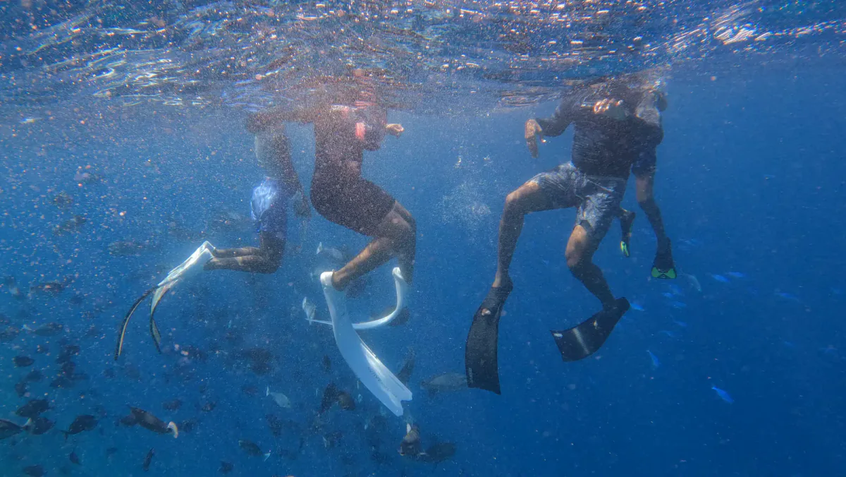 Shark Point & Gulhi — Tiffany Blanc 14