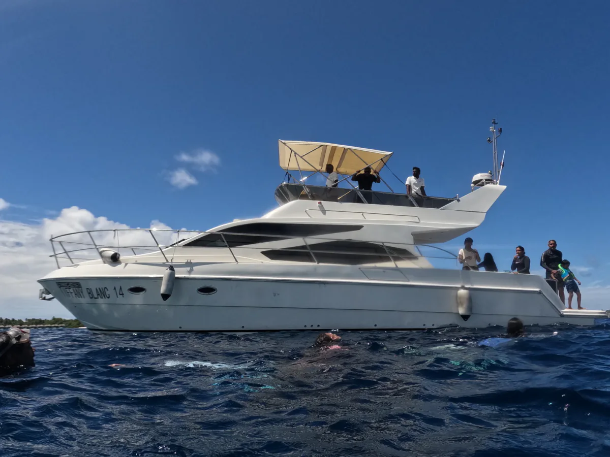 Tiffany Blanc 14 at anchor with guests aboard and swimmers alongside